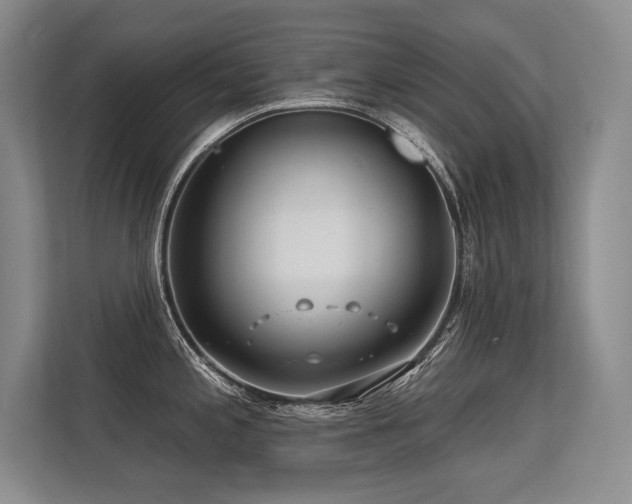 X0000113581197200909181301
