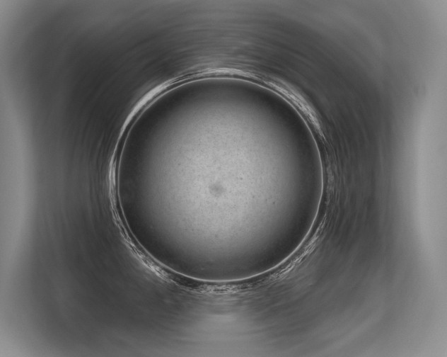 X0000113581198200909181301