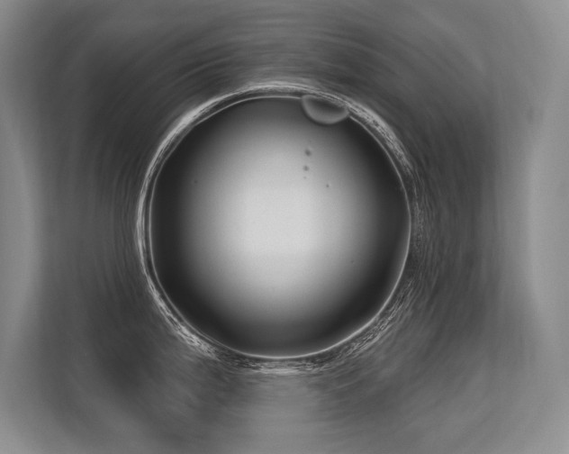 X0000113581199200909181301