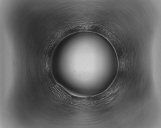 X0000113581202200909181300