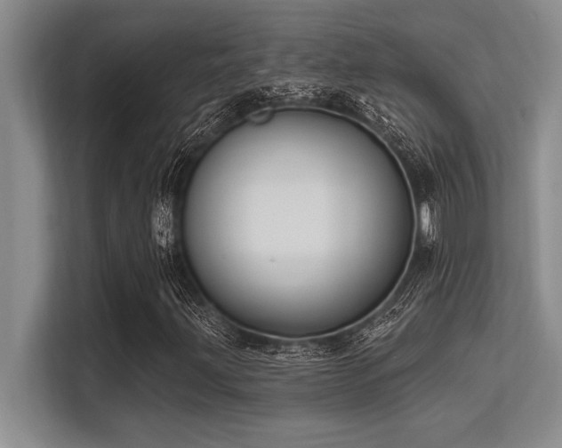X0000113581203200909181300