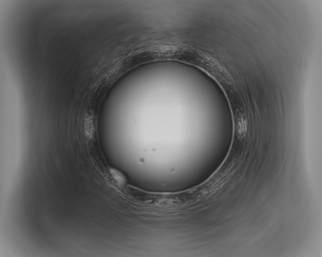 X0000113581204200909181300