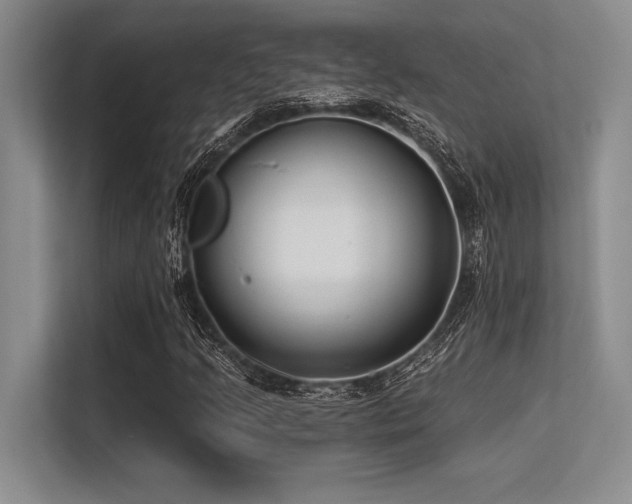 X0000113581205200909181300
