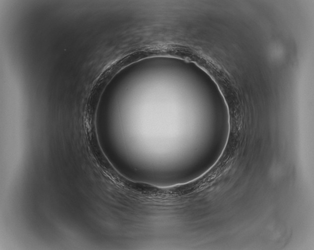 X0000113581206200909181300
