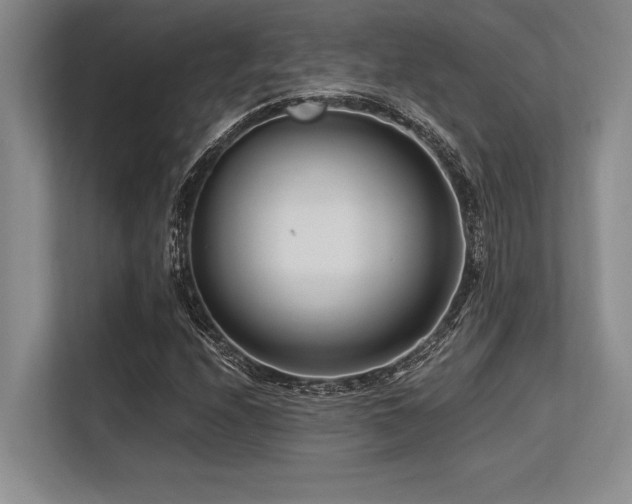 X0000113581208200909181300