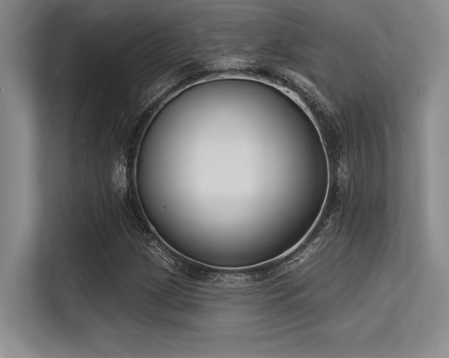 X0000113581209200909181300