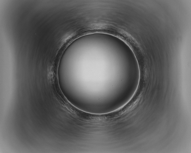 X0000113581210200909181300