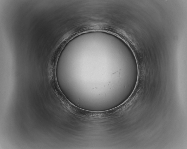 X0000113581211200909181300