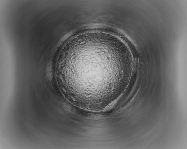 X0000113581213200909181300