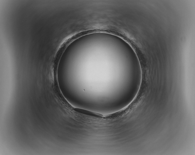 X0000113581214200909181300