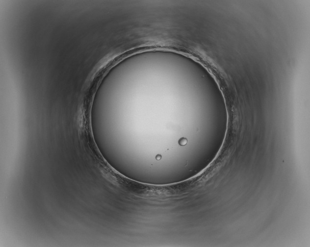 X0000113581215200909181300