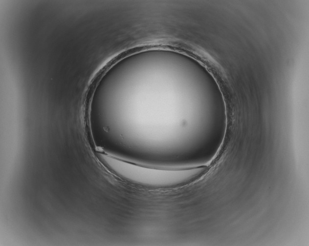 X0000113581216200909181300