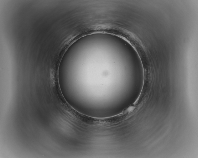 X0000113581217200909181300