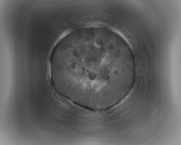 X0000113581219200909181300