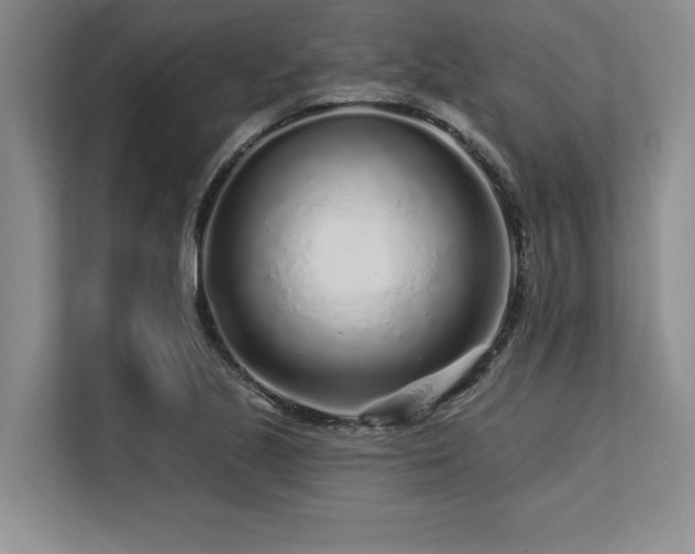 X0000113581221200909181300