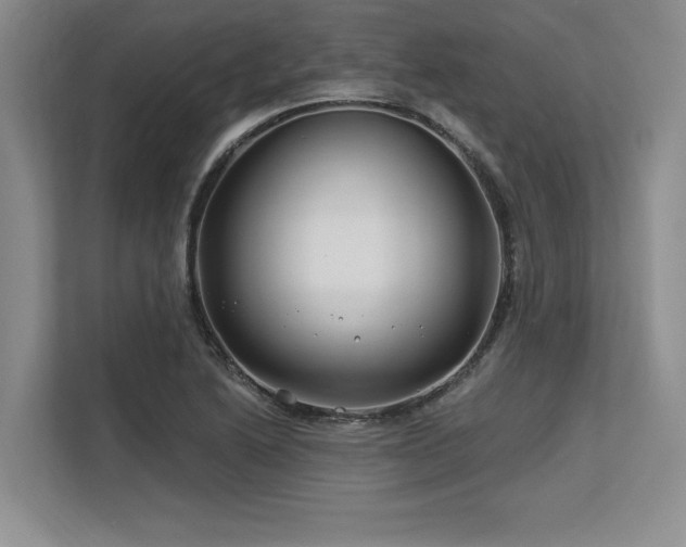 X0000113581222200909181300