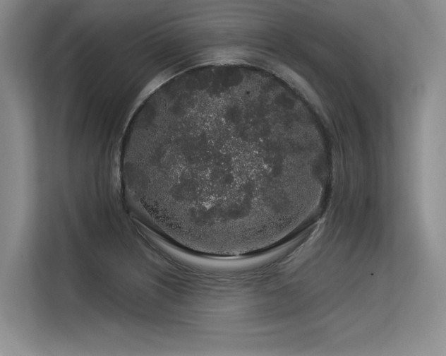 X0000113581226200909181300