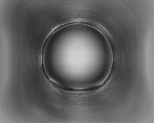 X0000113581228200909181300