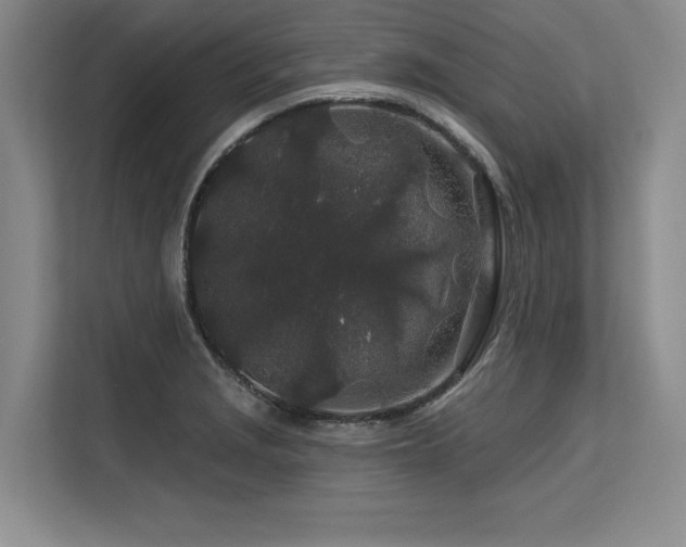 X0000113581229200909181300