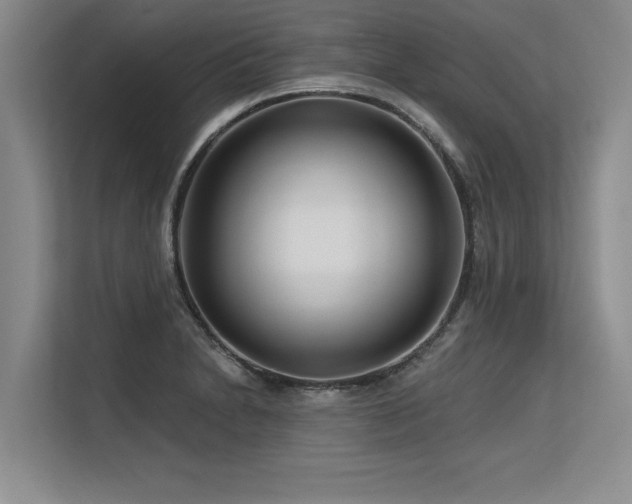 X0000113581230200909181301