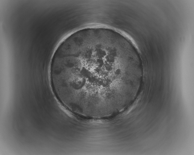 X0000113581231200909181301
