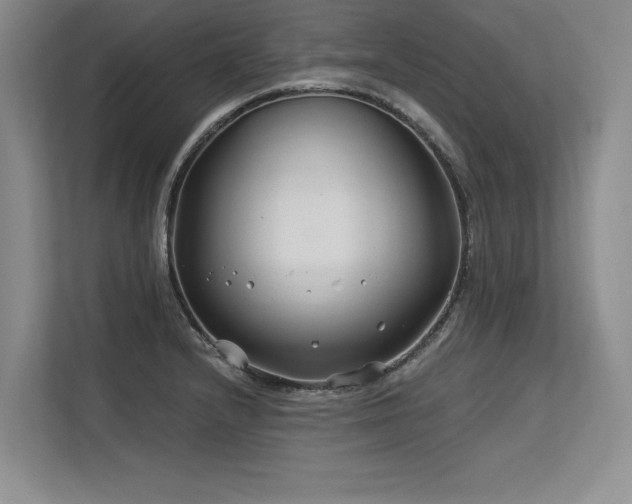 X0000113581232200909181301