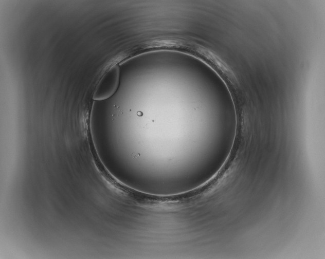 X0000113581233200909181301