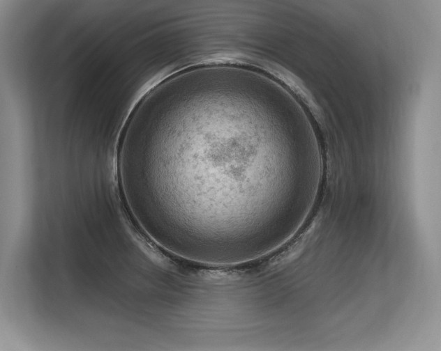 X0000113581234200909181301