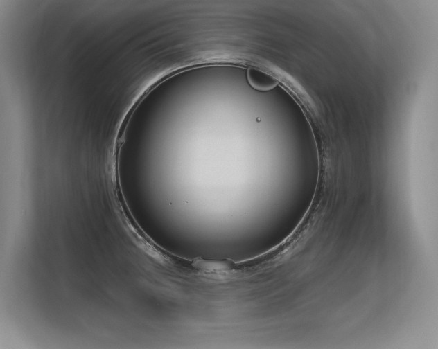X0000113581236200909181301