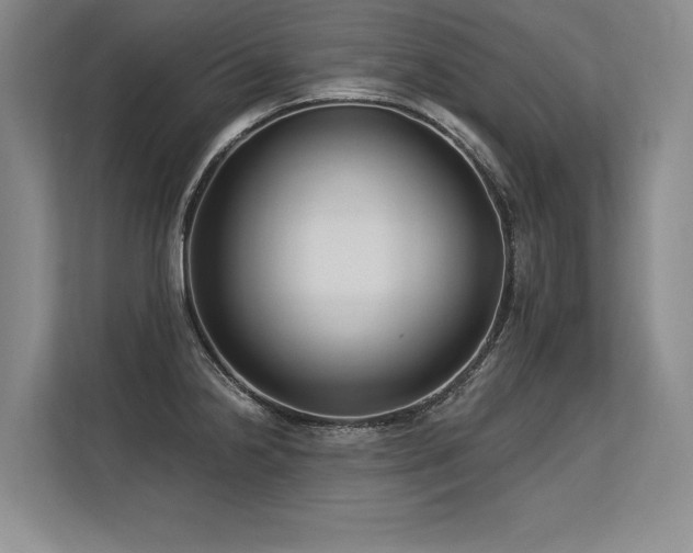 X0000113581238200909181301
