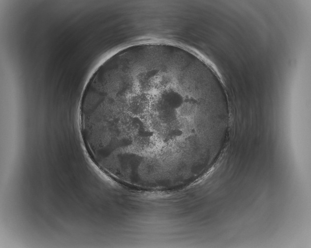 X0000113581239200909181301