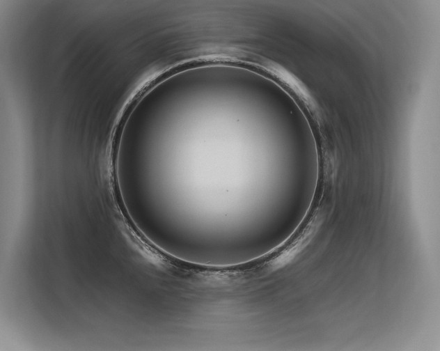 X0000113581240200909181301