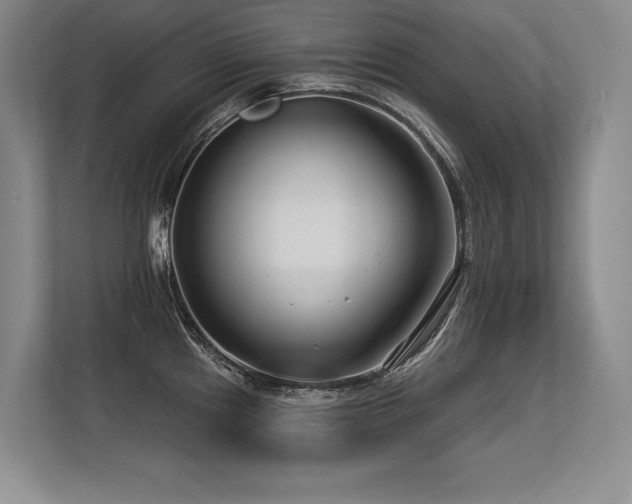 X0000113581241200909181301