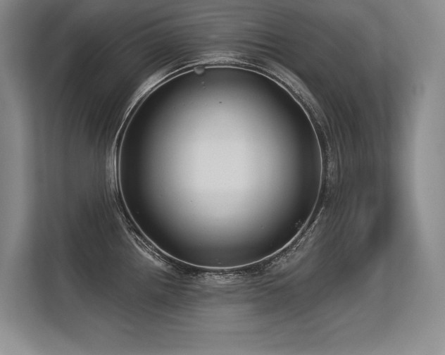 X0000113581242200909181301