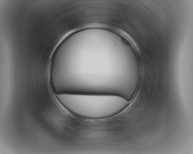 X0000113581244200909181301