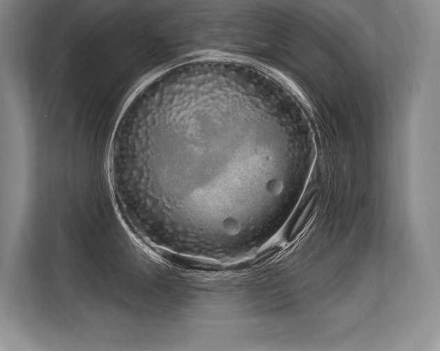 X0000113581247200909181301