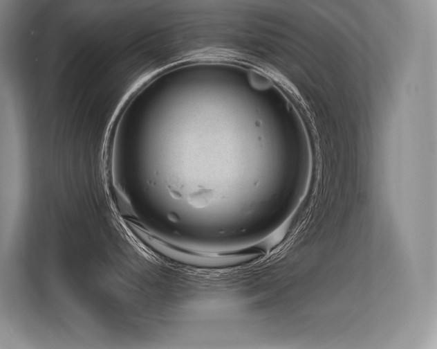 X0000113581248200909181301