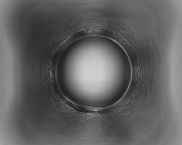 X0000113581250200909181300
