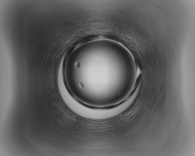 X0000113581252200909181300