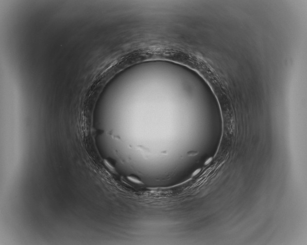X0000113581253200909181300