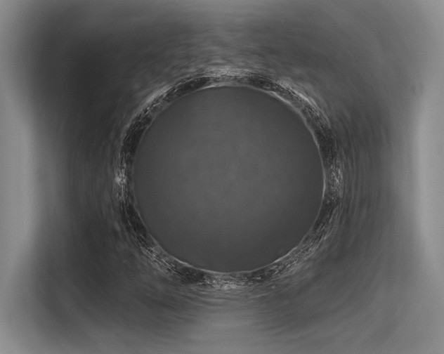 X0000113581254200909181300