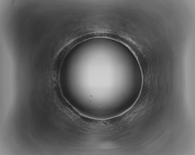 X0000113581255200909181300