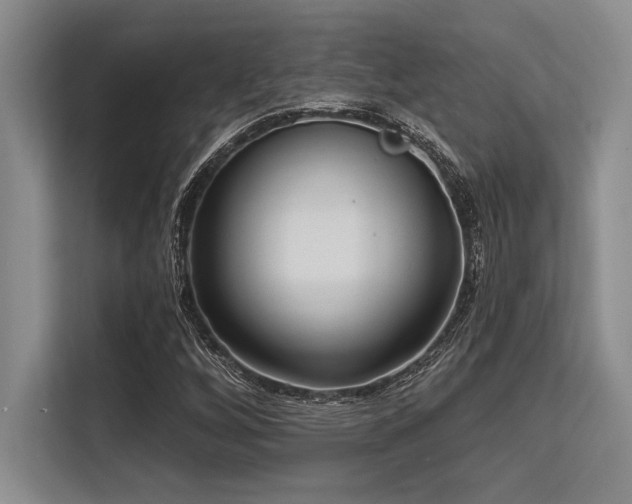X0000113581256200909181300