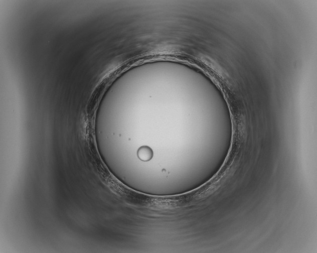 X0000113581258200909181300