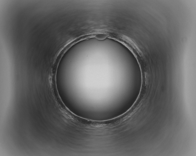 X0000113581260200909181300