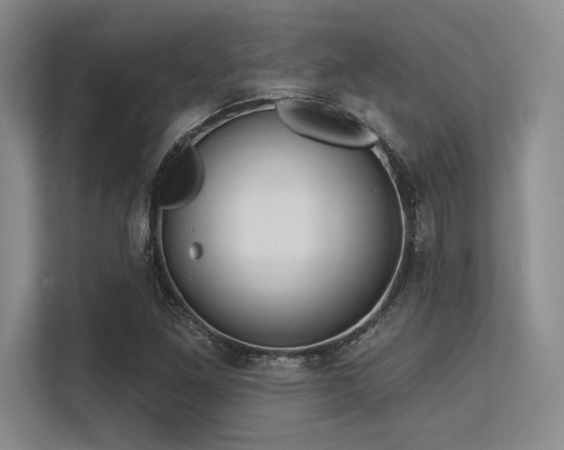 X0000113581261200909181300