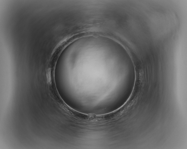 X0000113581262200909181300