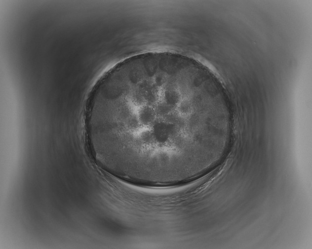 X0000113581263200909181300
