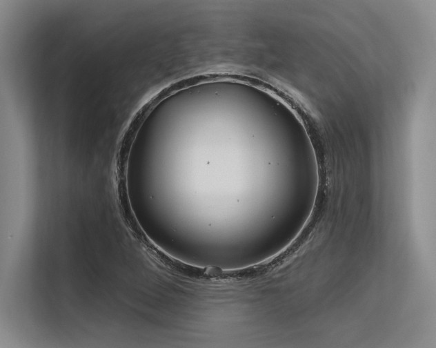 X0000113581264200909181300