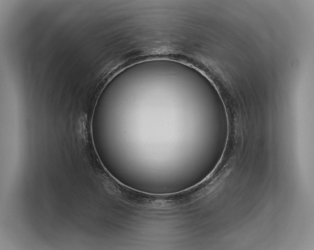 X0000113581265200909181300